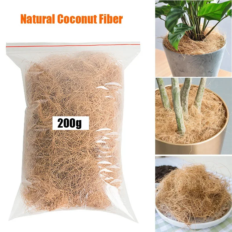 Tissue Culture Plant - Natuurlijke Kokosnoot Schil Vezel Bloempot Cover