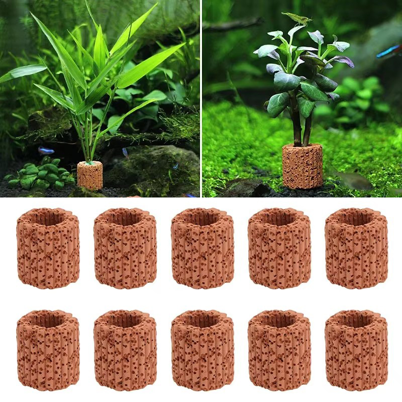 Aquarium Plant Display - Aquatische Plant Vaste Ring voor Aquarium