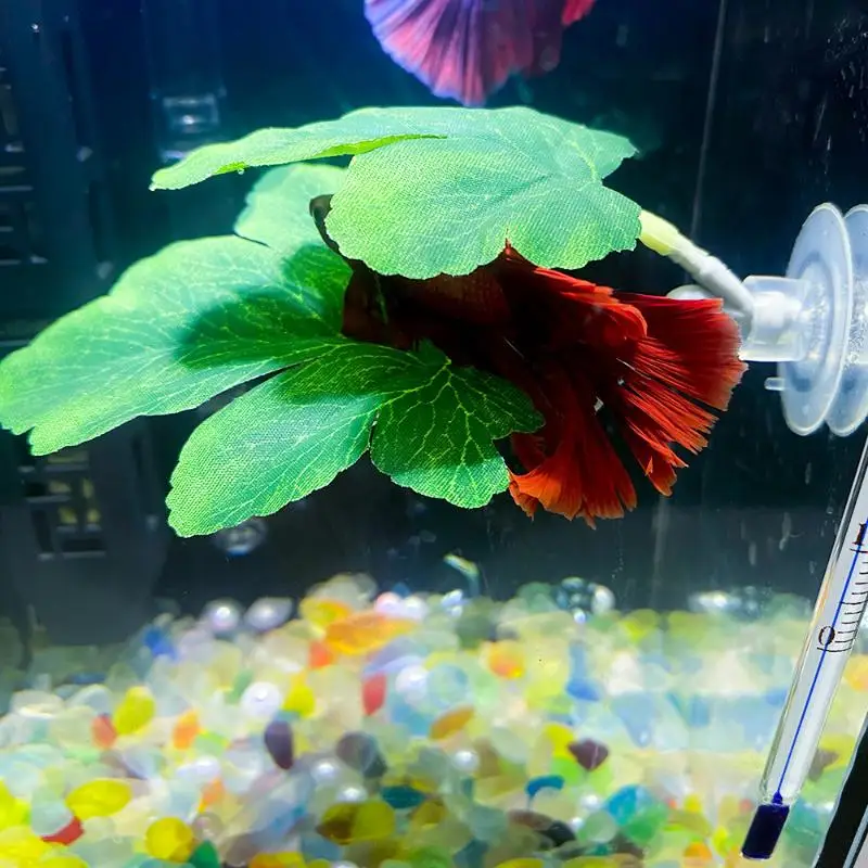 Planted Aquarium Betta - Betta Fish Leaf Hangmat Aquarium Decoratief