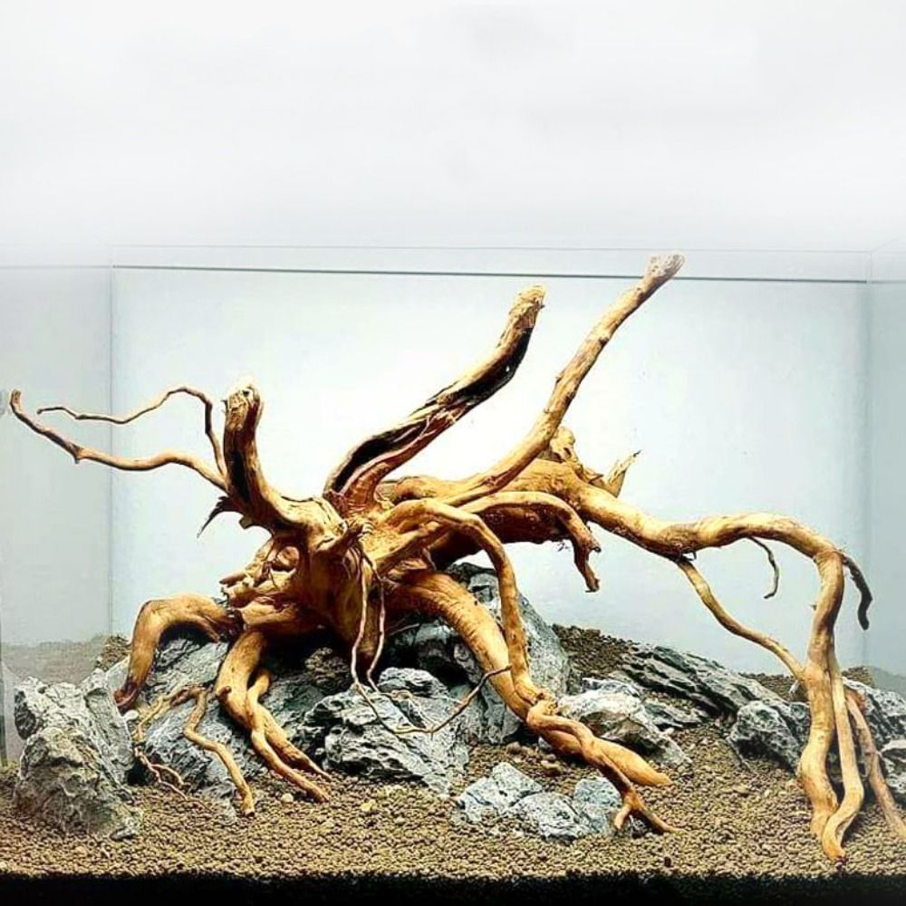 Aquarium Plant Roots - 20-25CM Grote Aquarium Drijfhout Natuurlijke Visbak