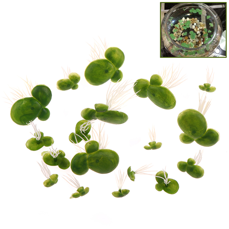 Aquarium Plant Roots - 【F】18 stks/set Aquarium Fish Tank Decor
