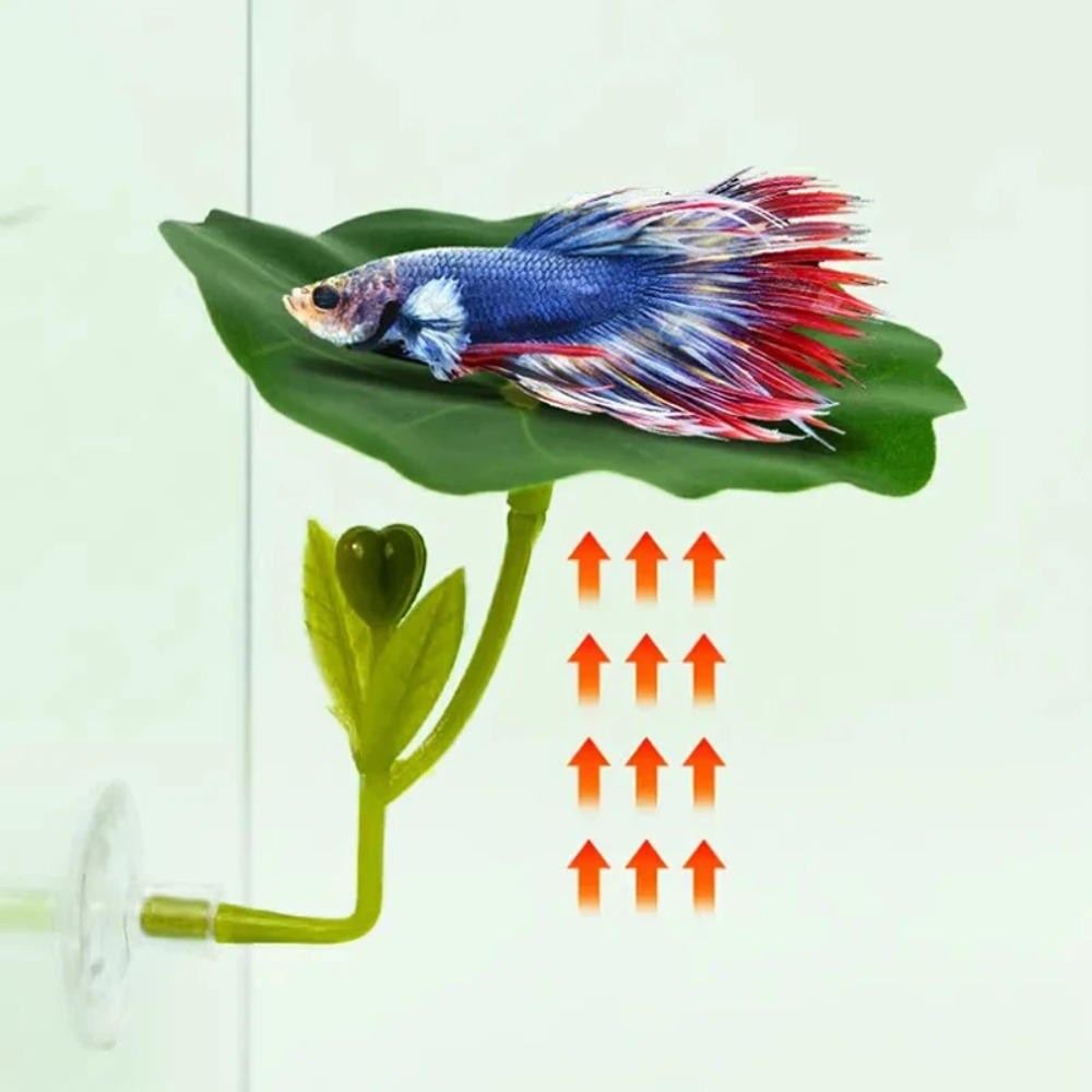 Planted Aquarium Betta - 1 stuks groene blad betta vis