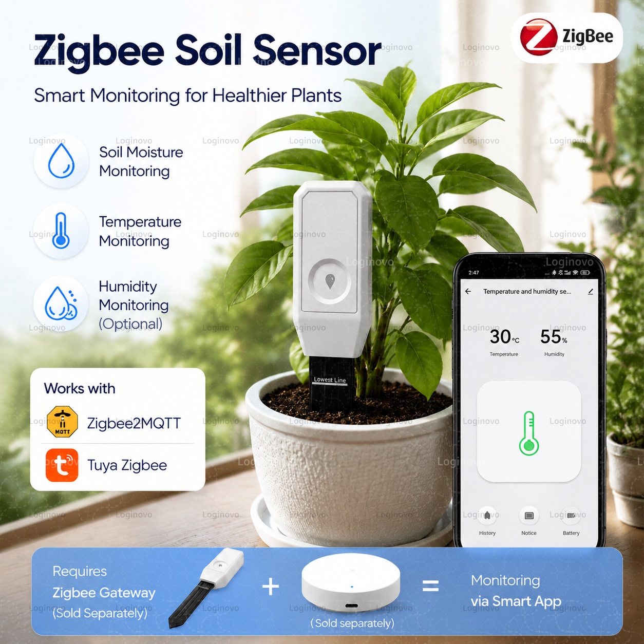Tissue Culture Plant - Tuya Zigbee Bodemvocht Tester Temperatuur-vochtigheidssensor Plant