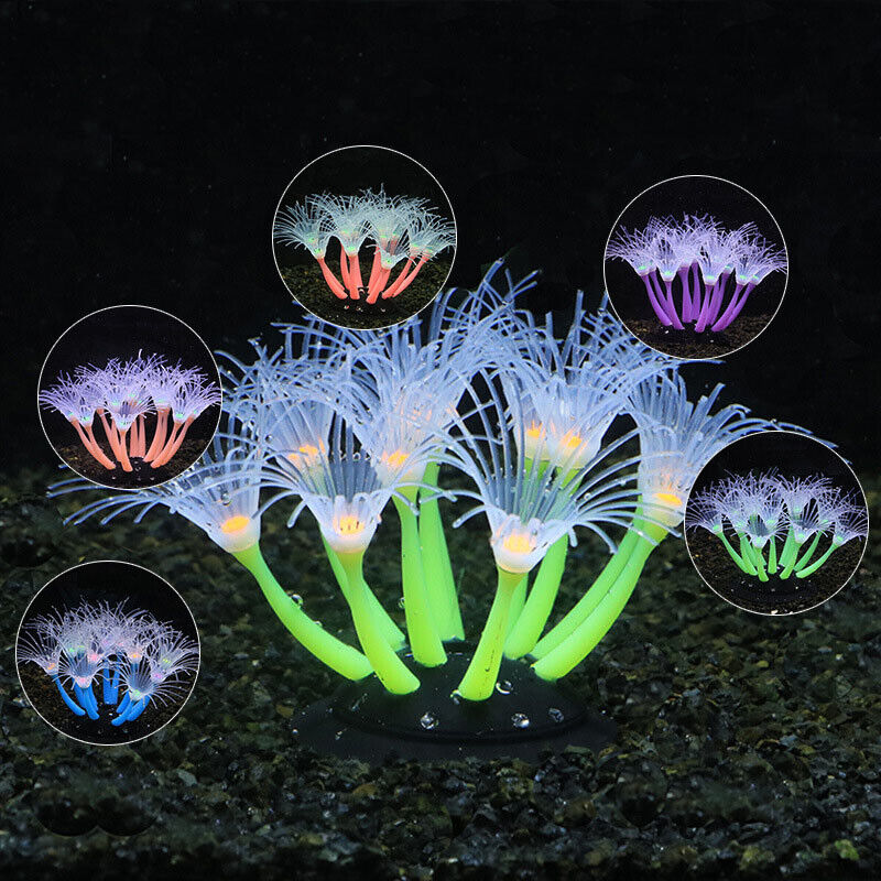 Siliconen gloeiende landschaps - Aquarium Plant Display recensie en prijs
