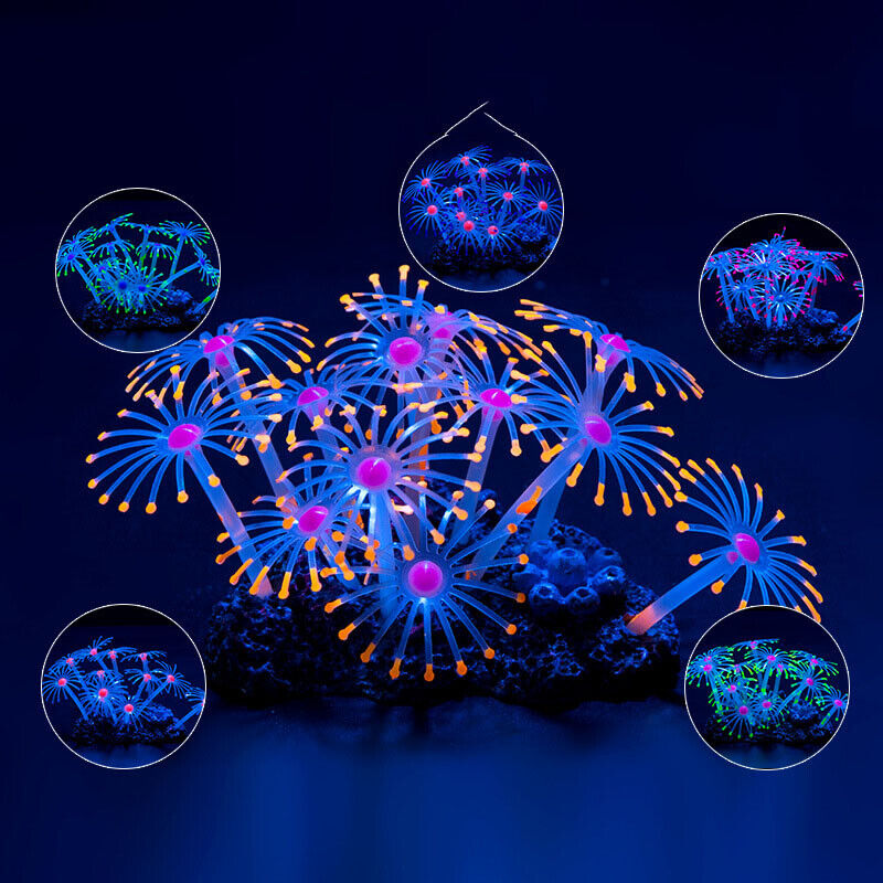 Siliconen gloeiende landschaps - Aquarium Plant Display recensie en prijs