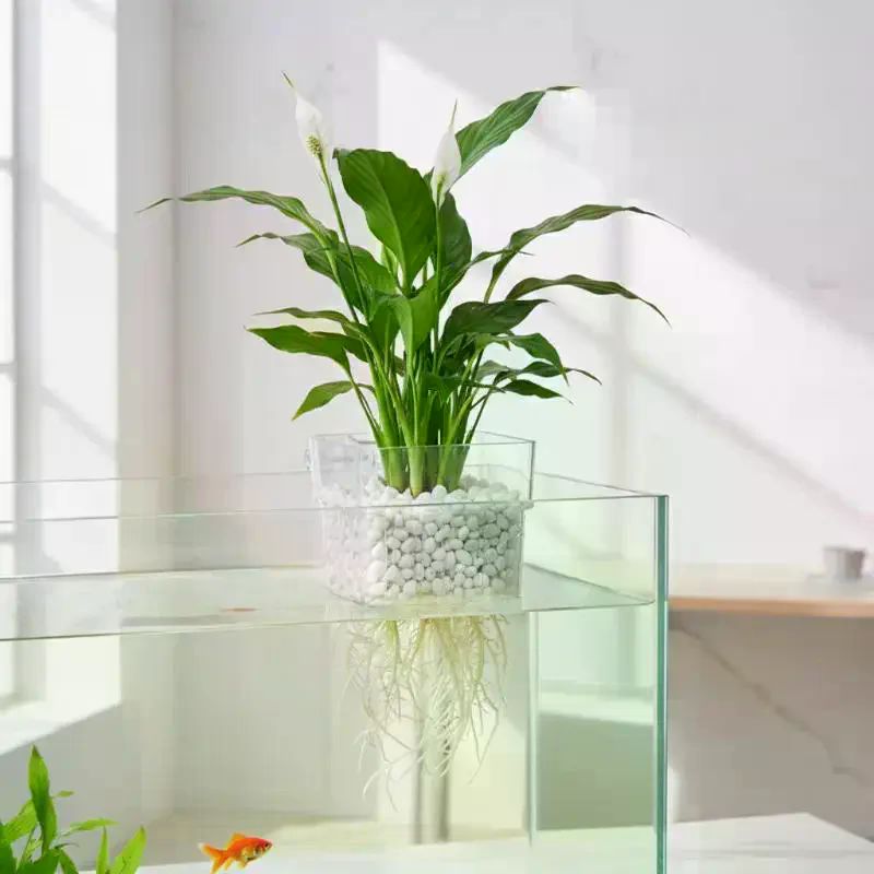 Aquariumplantenbeker 2 5 10 st - Aquarium Plant Roots recensie en prijs