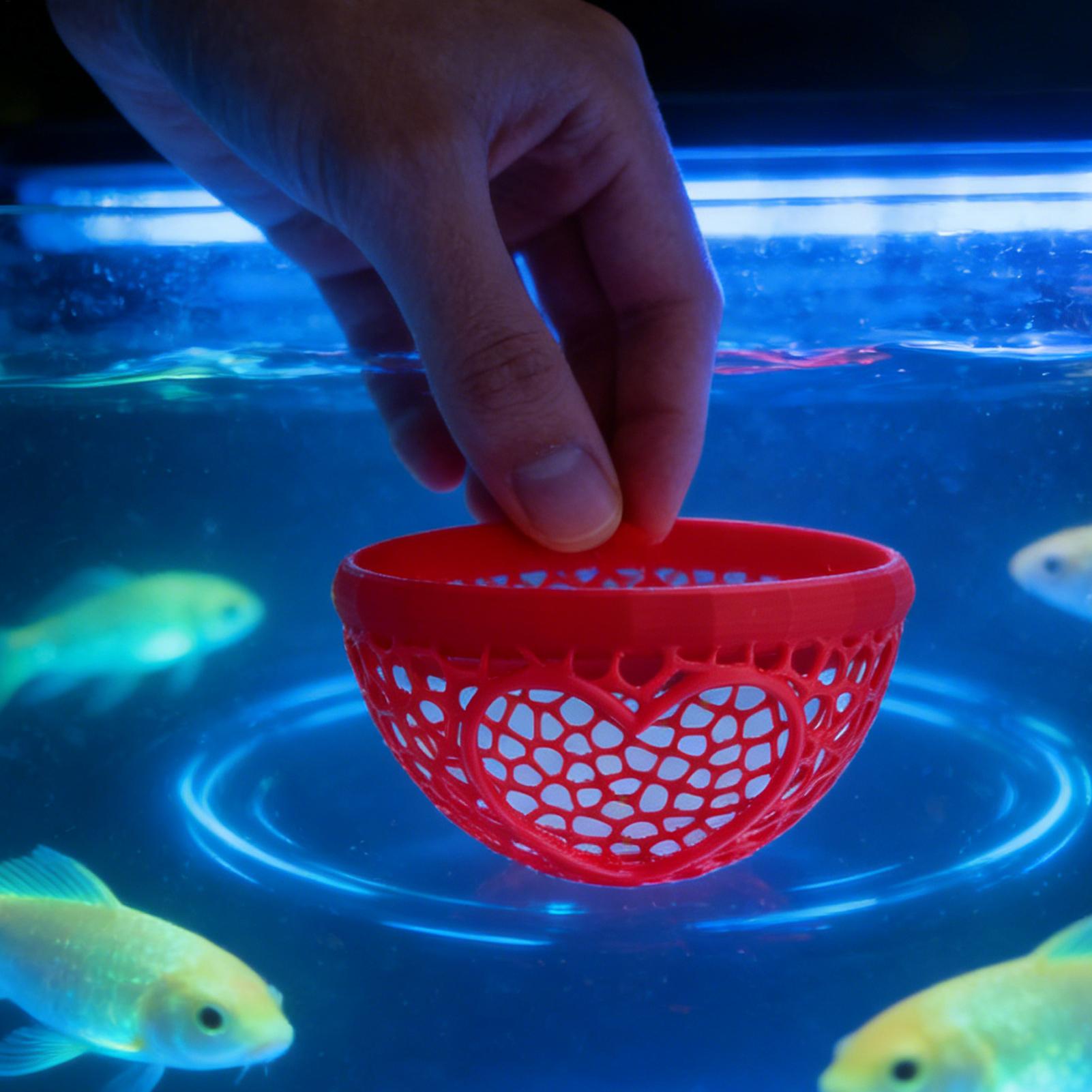 Drijvende betta-huisje Betta-h - Planted Aquarium Betta recensie en prijs