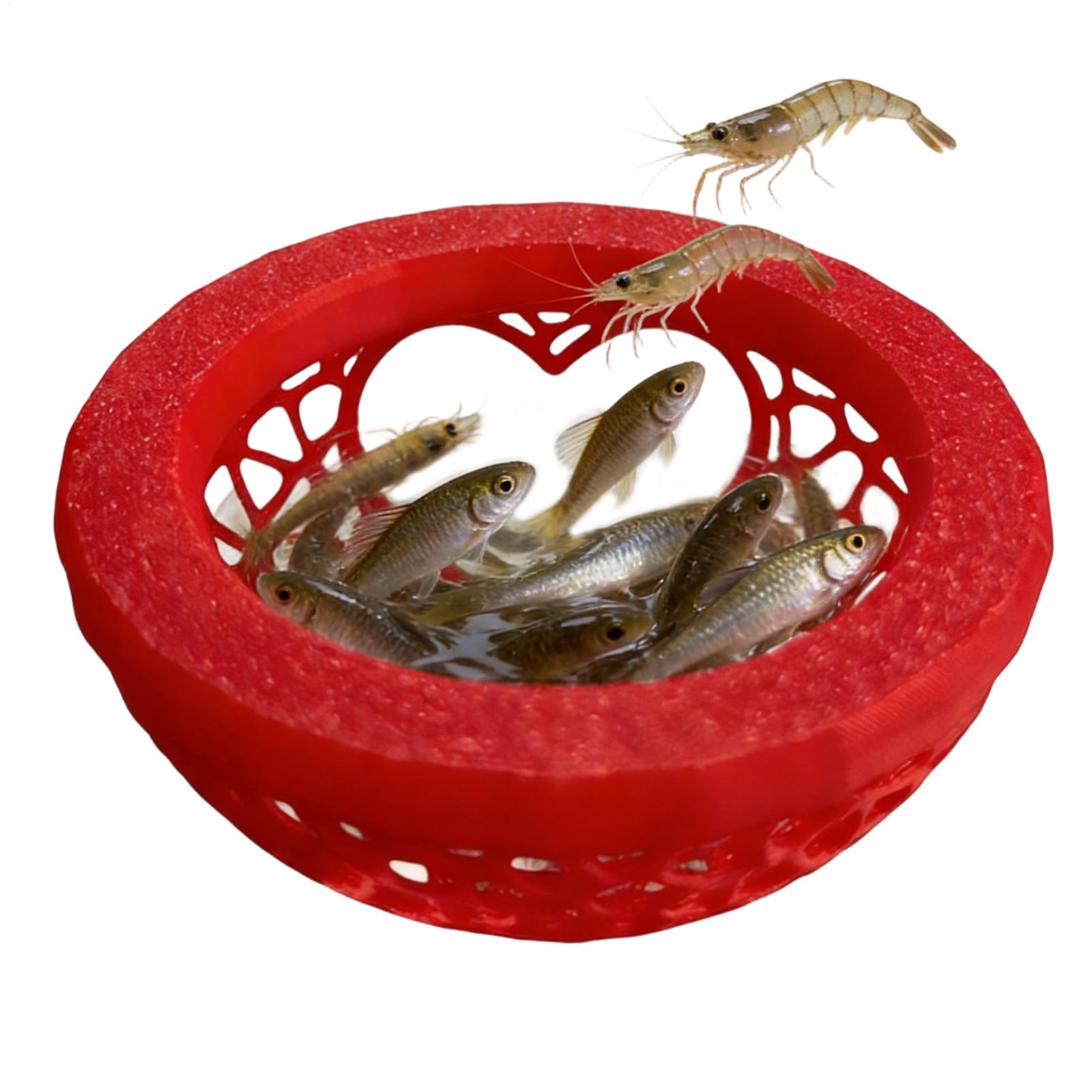 Drijvende betta-huisje Betta-h - Planted Aquarium Betta recensie en prijs