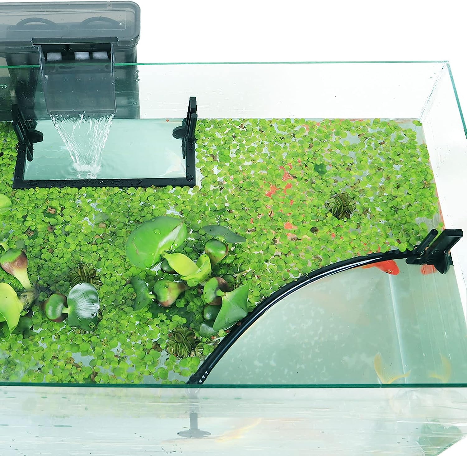 Aquarium Drijvende Plant Corra - Planted Aquarium Heater recensie en prijs