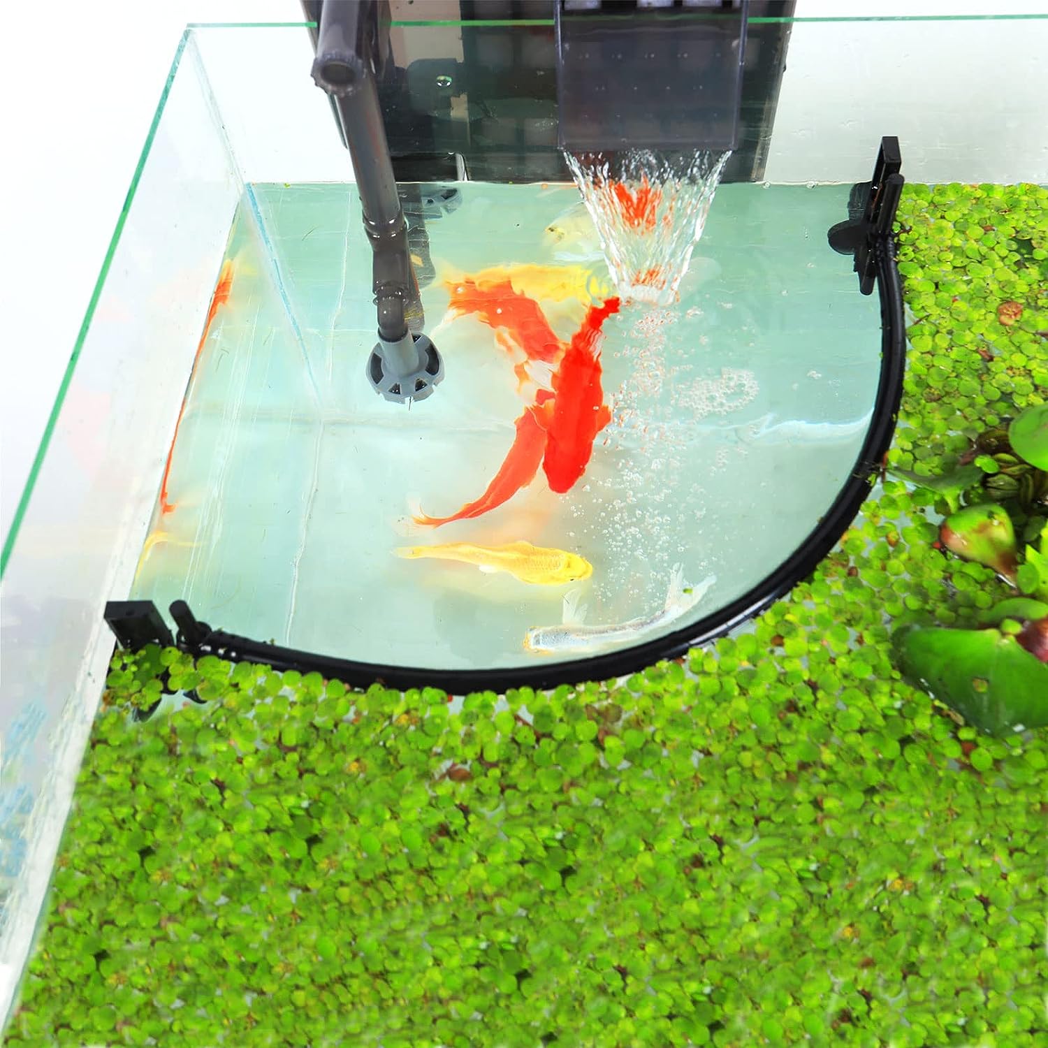 Aquarium Drijvende Plant Corra - Planted Aquarium Heater recensie en prijs