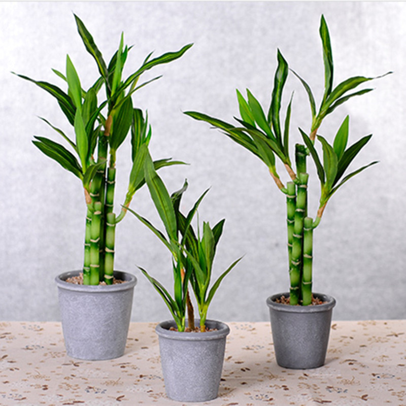 Nieuwe 40 cm rFtificial Lucky  - Aquarium Plant Display recensie en prijs