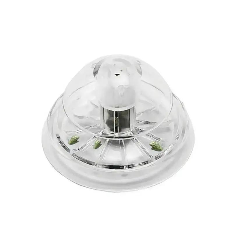 2026 Nieuwe 6/8CM Transparante - Aquarium Planted Fish Tank recensie en prijs
