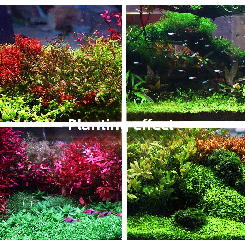 SYSENCIAGA beplant aquariumsub - Aquarium Plant Gravel recensie en prijs