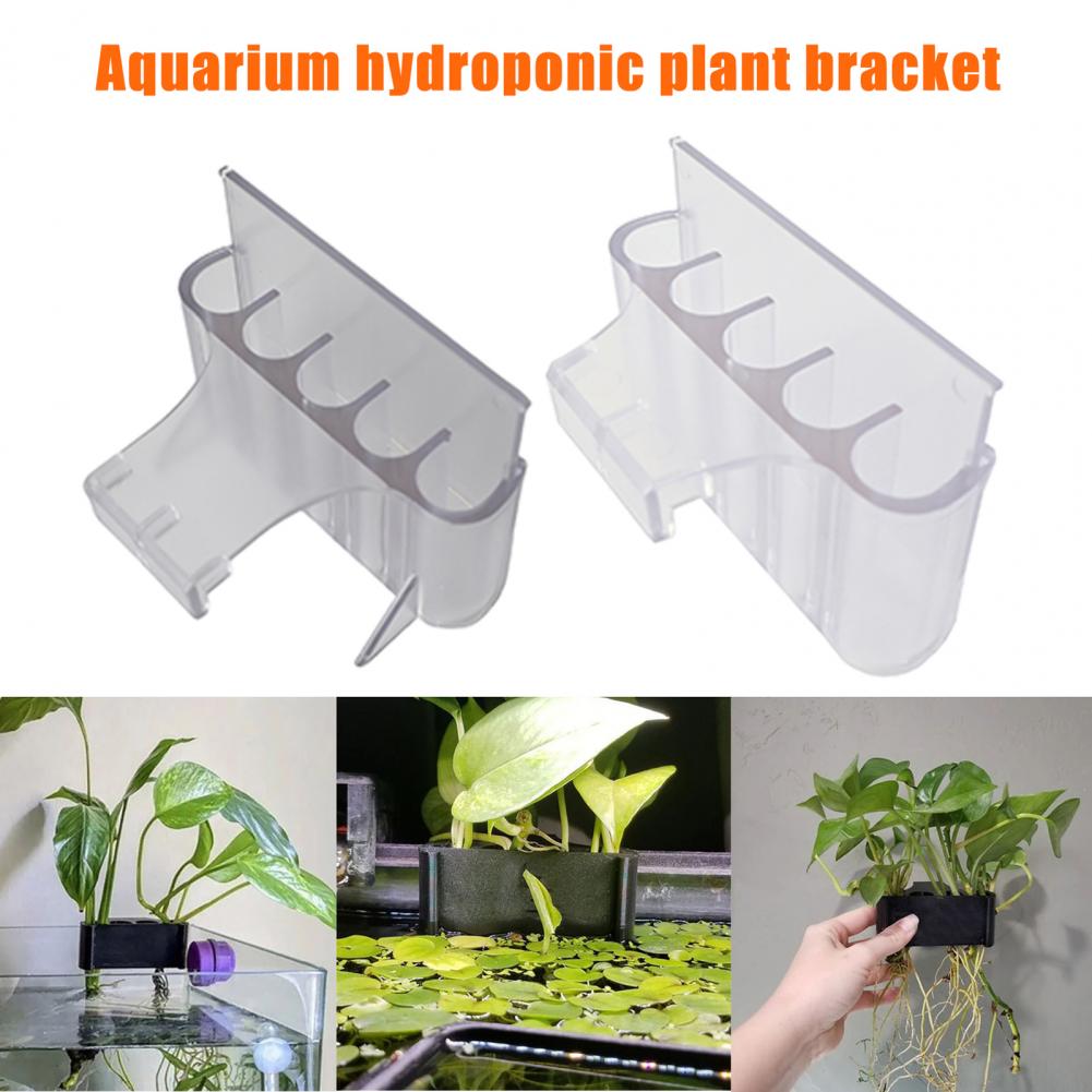 4.5/6.5 Cm Aquarium Plant Houd - Aquarium Planted Fish Tank recensie en prijs