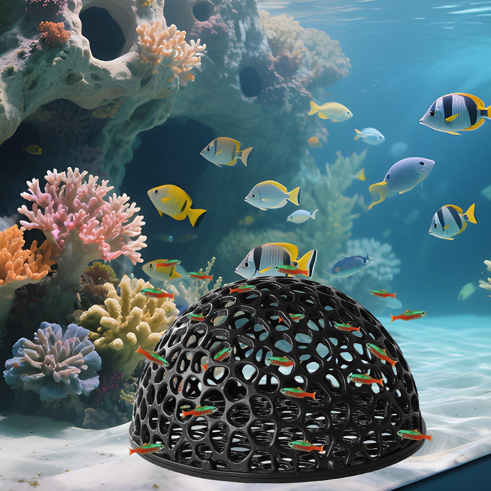 Aquarium Verbergen Grot Onderd - Aquarium Plant Roots recensie en prijs