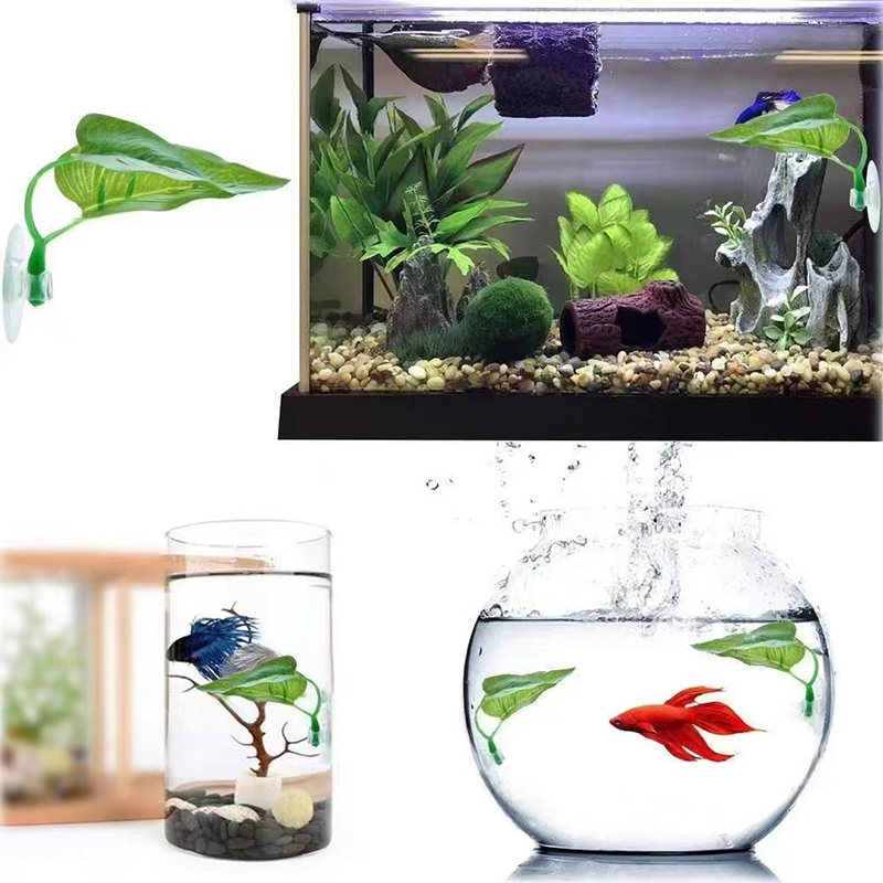 Kunstmatige waterplant aquariu - Planted Aquarium Betta recensie en prijs