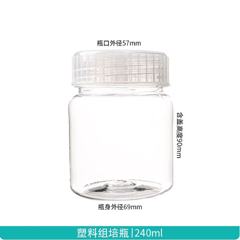 10 stuks plastic weefselcultuu - Tissue Culture Plant recensie en prijs