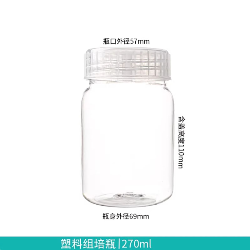 10 stuks plastic weefselcultuu - Tissue Culture Plant recensie en prijs