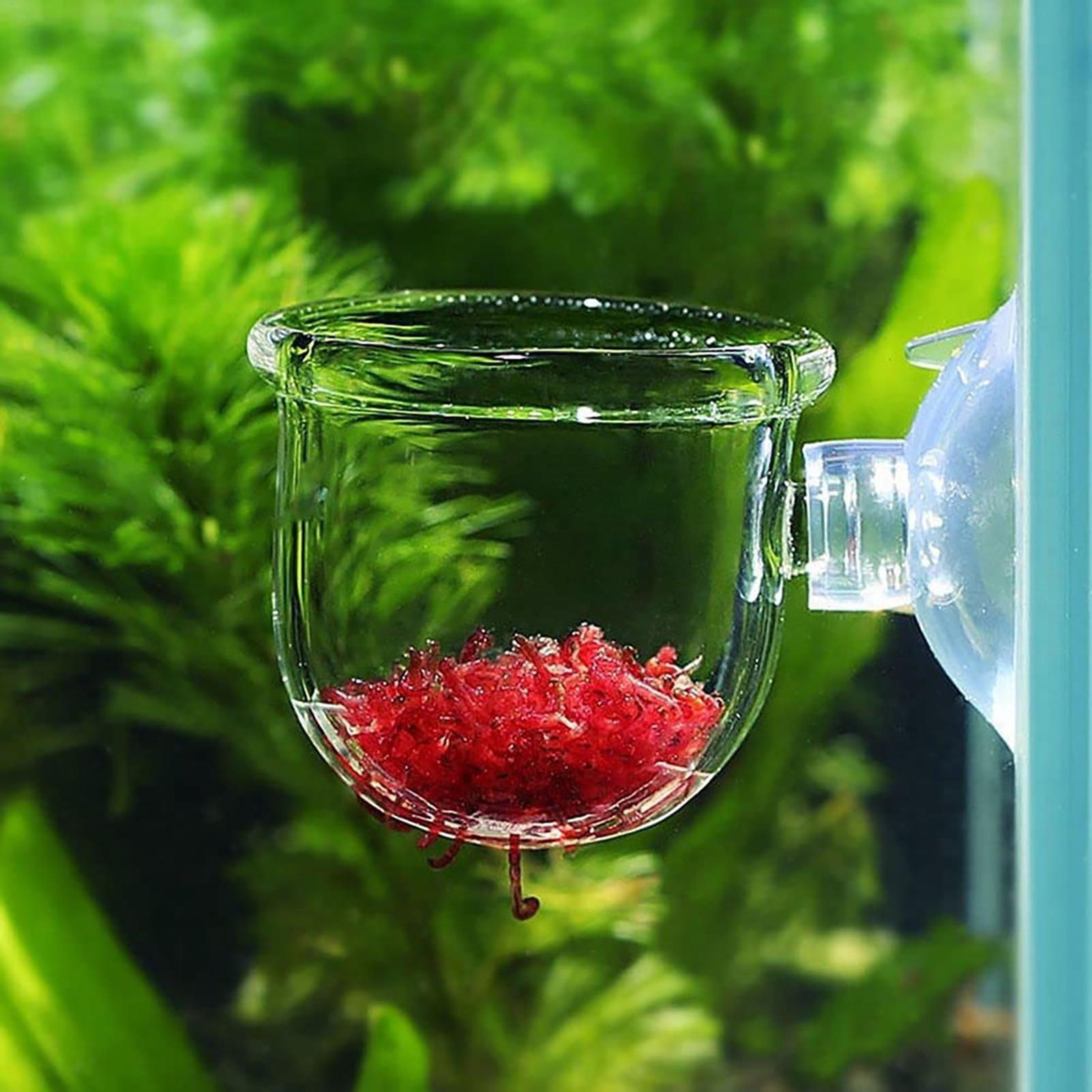 Aquariumdecoratie Plantenpot A - Aquarium Plant Utensils recensie en prijs