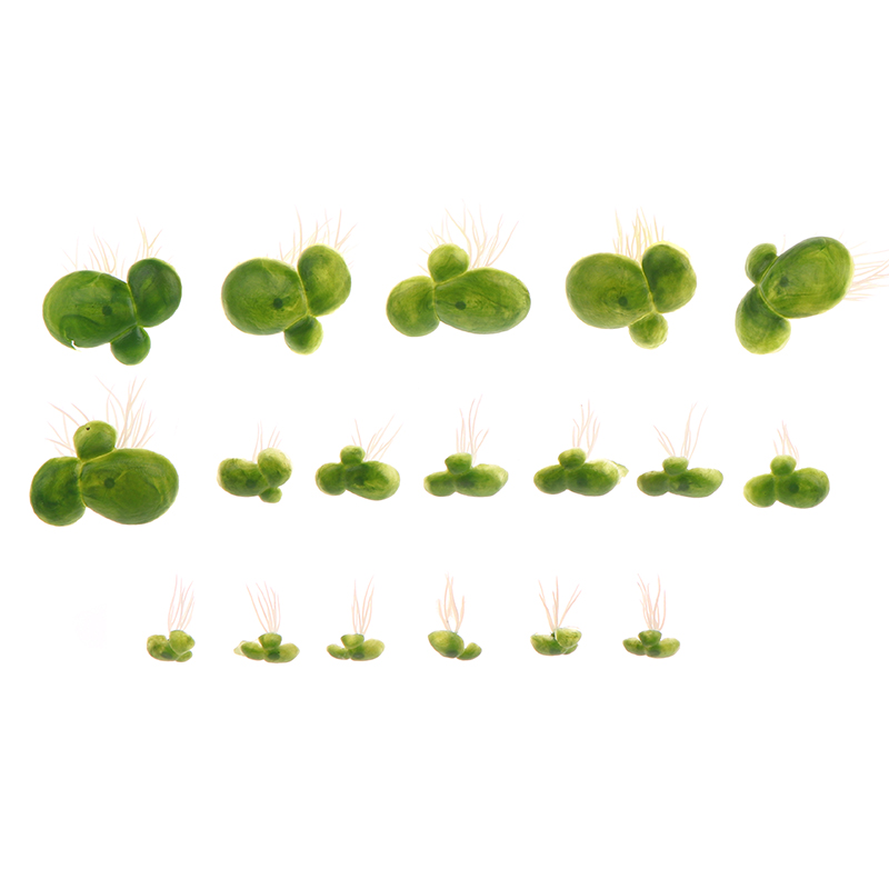 18 Stks/set Aquarium Aquarium  - Aquarium Plant Roots recensie en prijs
