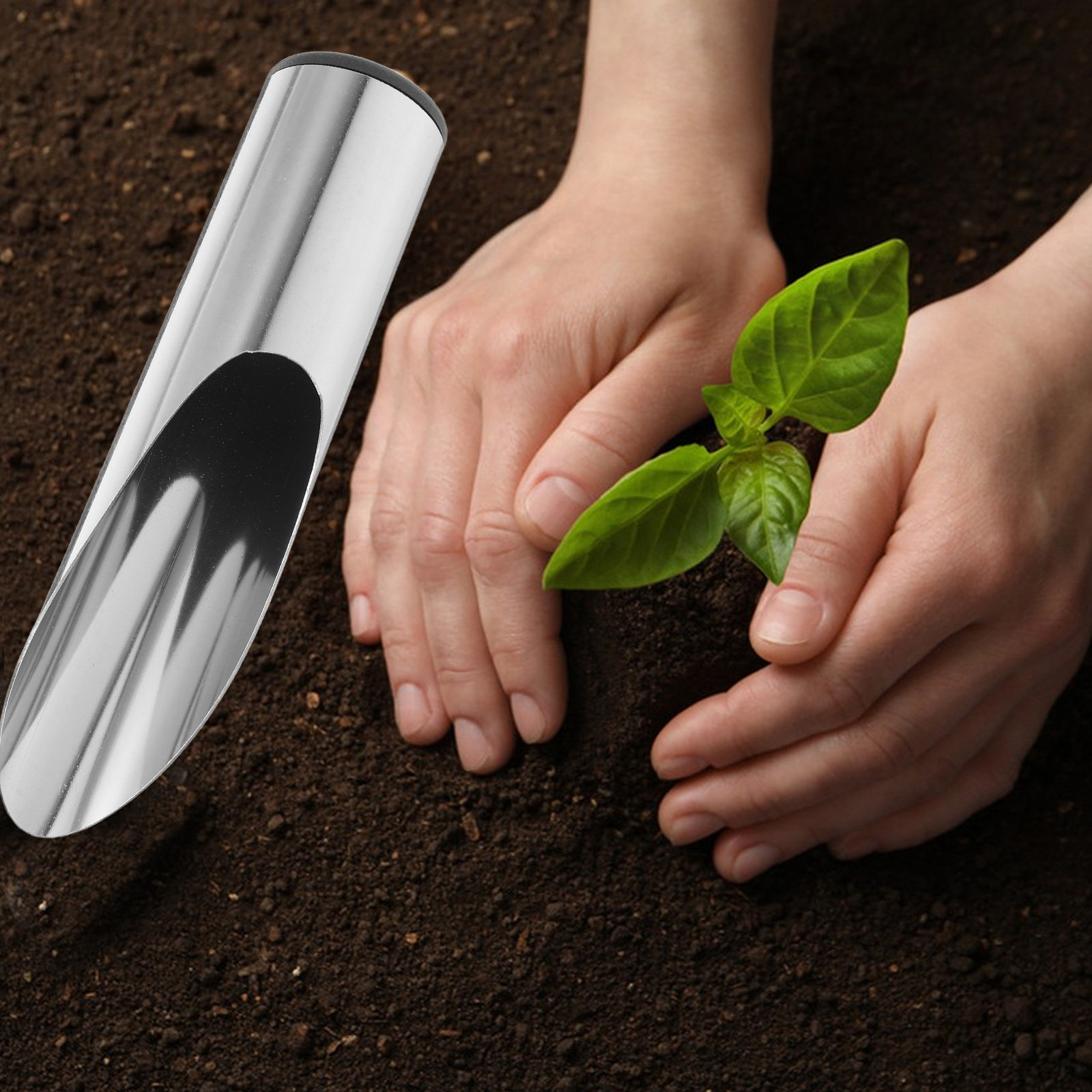 Roestvrijstalen tuinschep Lich - Tissue Culture Plant recensie en prijs