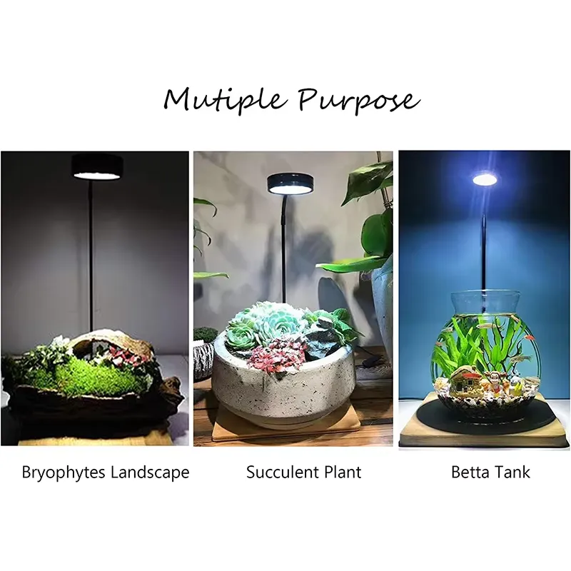 Volspectrum LED-lamp met panee - Planted Aquarium Betta recensie en prijs