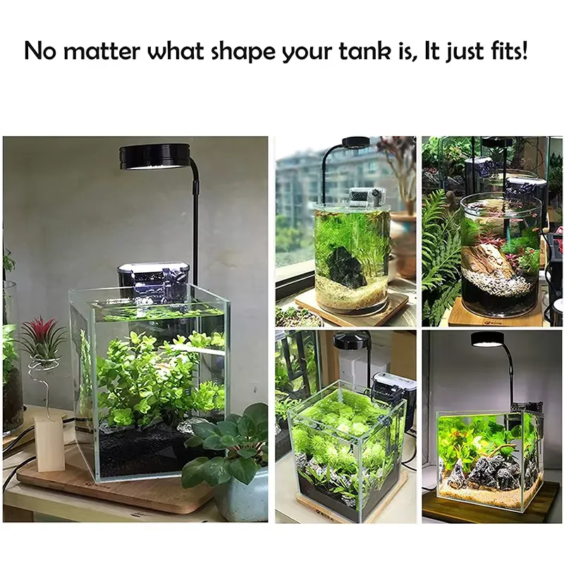 Volspectrum LED-lamp met panee - Planted Aquarium Betta recensie en prijs