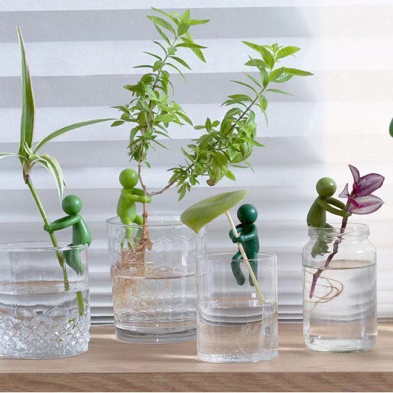 Hydroponische plantenhouder fi - Tissue Culture Plant recensie en prijs