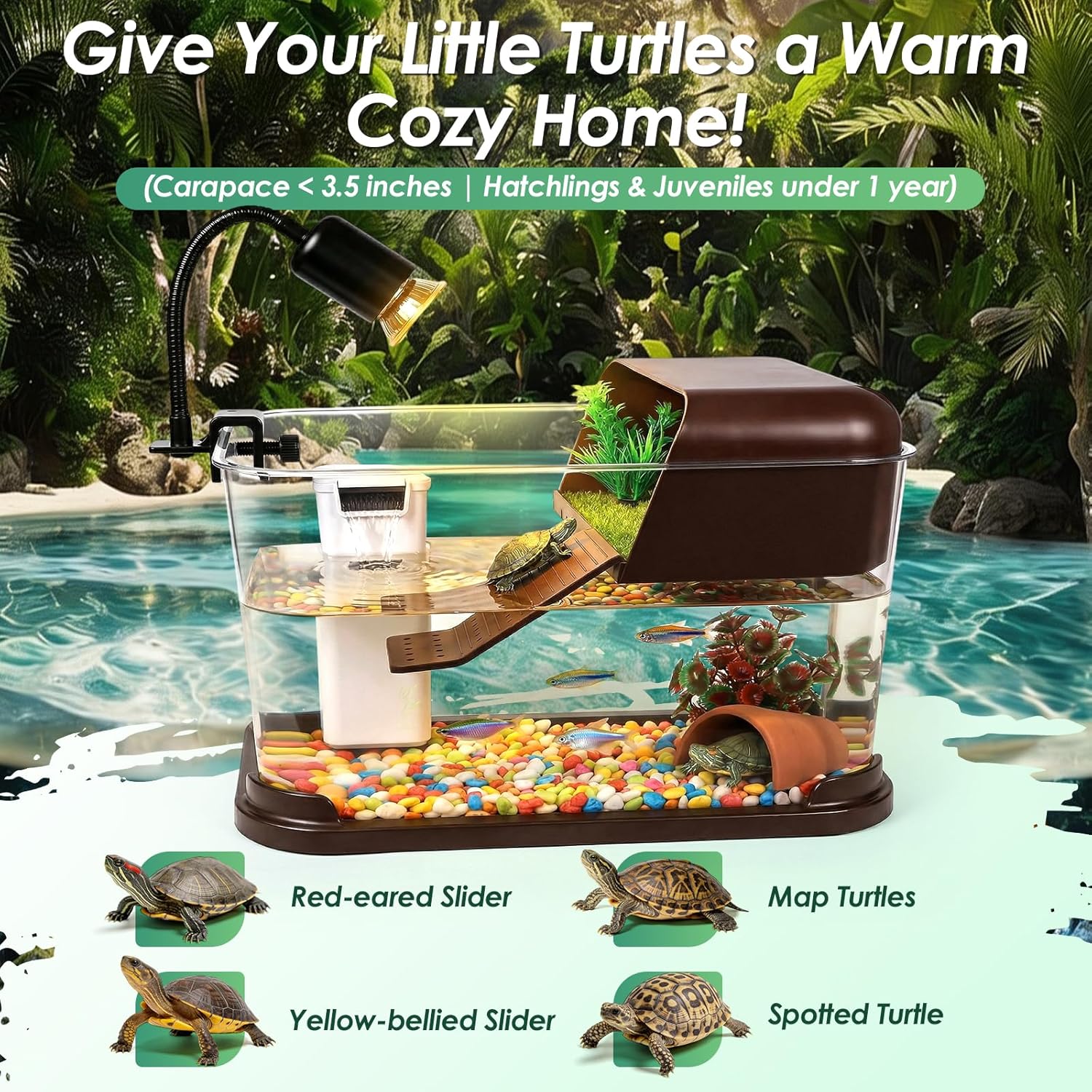 Schildpaddenbak Starterkit, PC - Planted Aquarium Starter Kit recensie en prijs