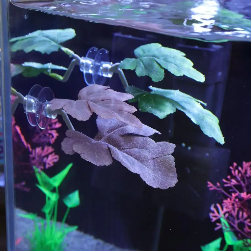 Betta Fish Leaf Hangmat Aquari - Planted Aquarium Betta recensie en prijs