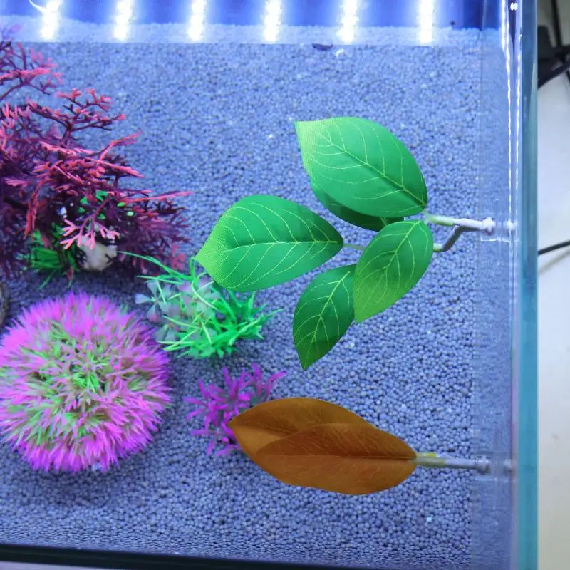Betta Fish Leaf Hangmat Aquari - Planted Aquarium Betta recensie en prijs