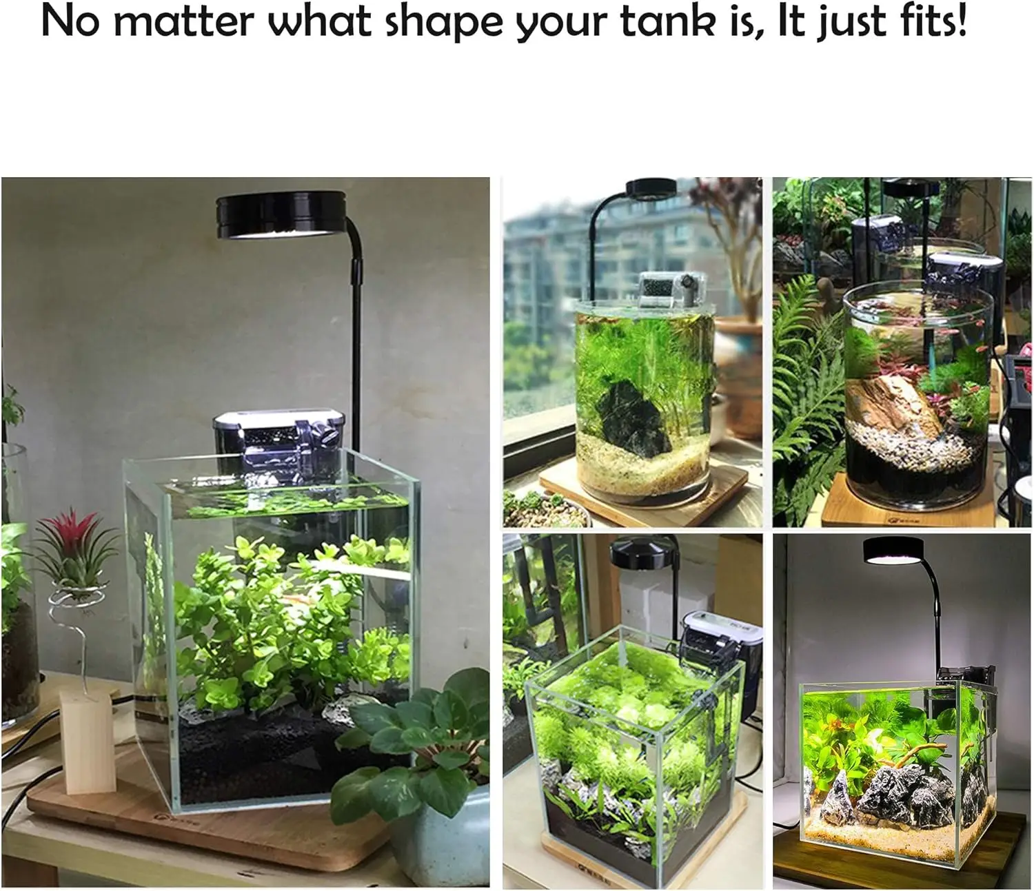 LED-aquariumgroeilicht met bam - Planted Aquarium Betta recensie en prijs