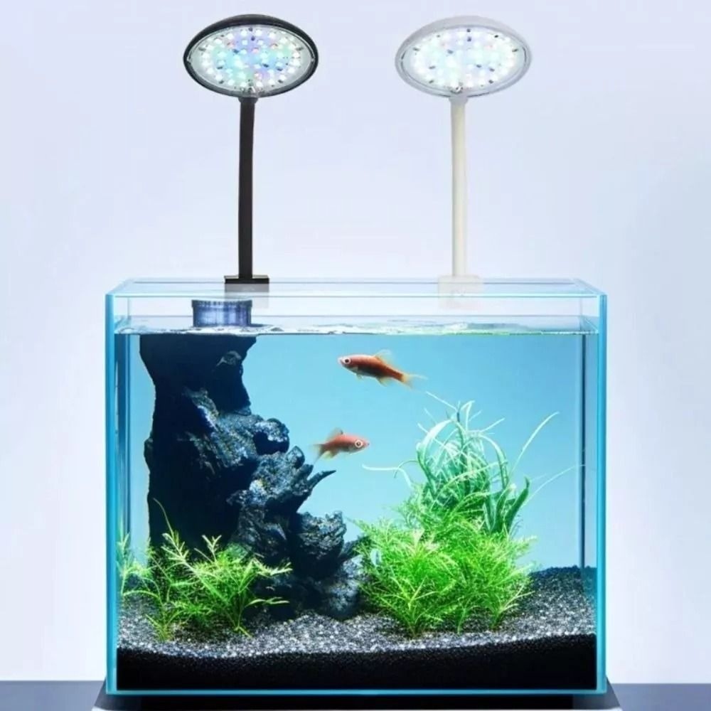 Nieuwe Mini Aquarium Clip Lamp - Planted Aquarium Mini recensie en prijs