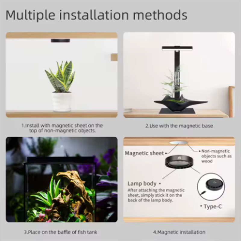WEEK AQUA Mag Pro Mag Max Nano - Aquarium Plant Display recensie en prijs
