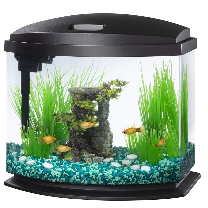 Voor een op maat gemaakt glaze - Planted Aquarium Betta recensie en prijs