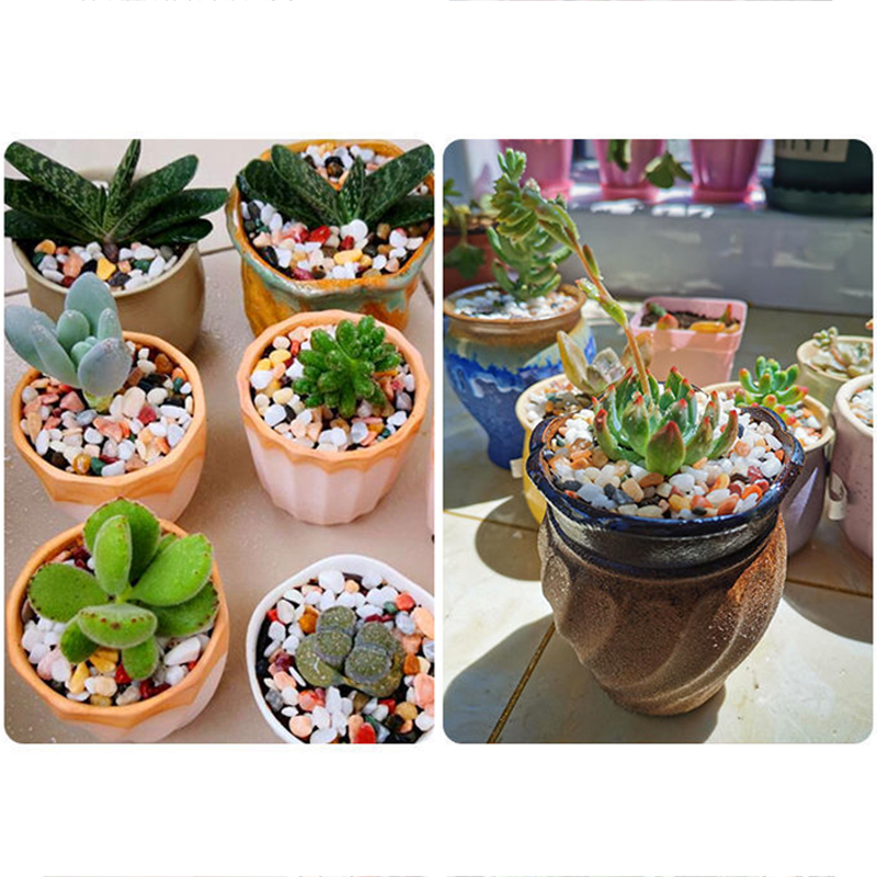 Natuurlijke Grindsteen 200 ~ 1 - Aquarium Plant Gravel recensie en prijs