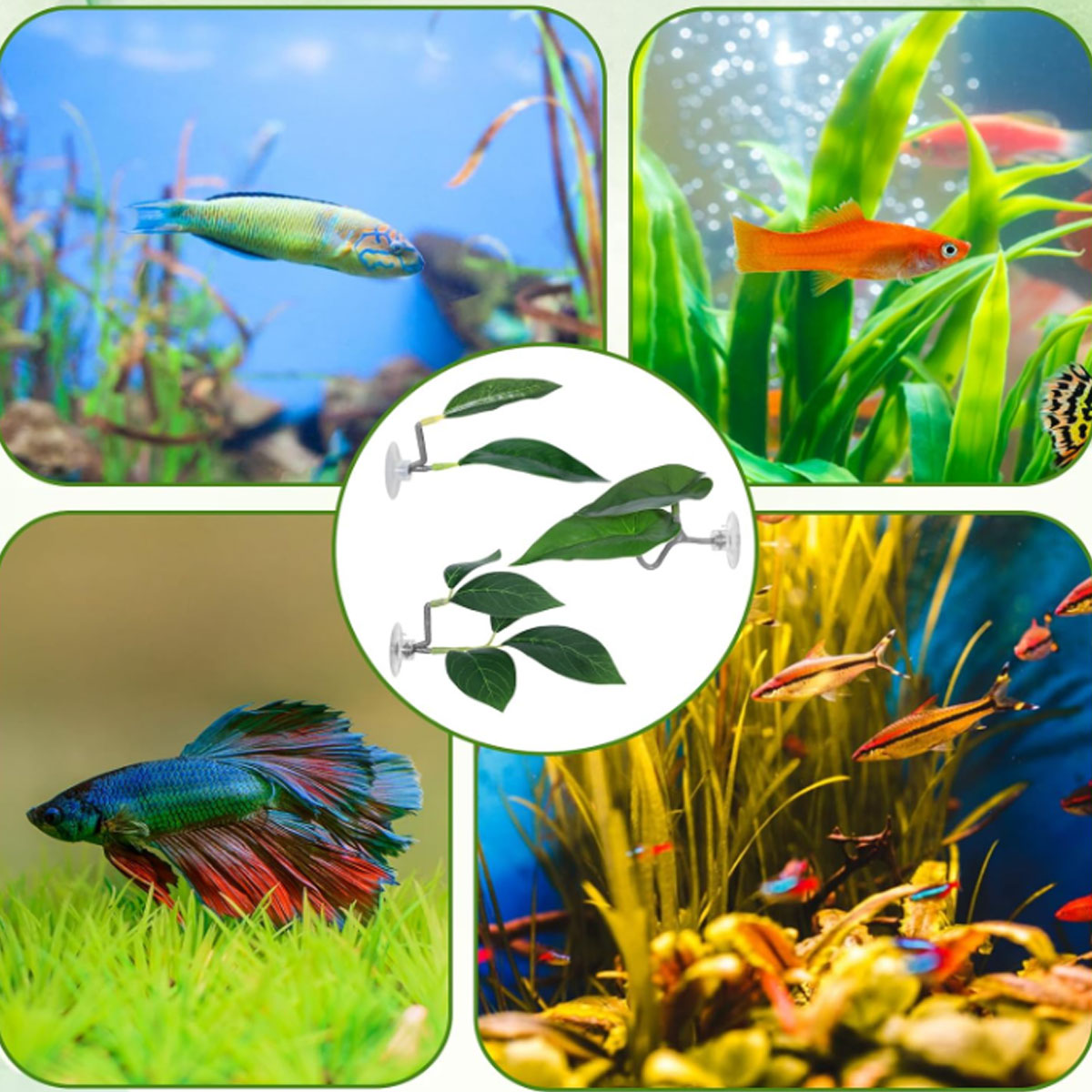 1 PC Betta Vis Hangmat Zacht A - Aquarium Plant Display recensie en prijs