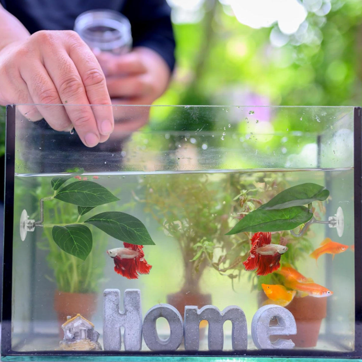 1 PC Betta Vis Hangmat Zacht A - Aquarium Plant Display recensie en prijs