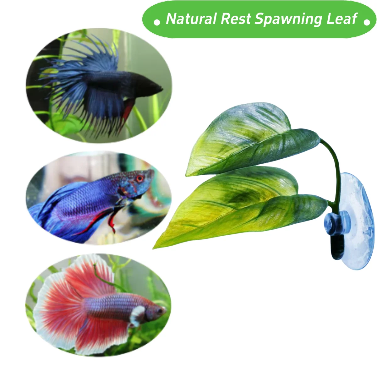 Huisdieren Aquarium Decor Bett - Aquarium Plant Roots recensie en prijs