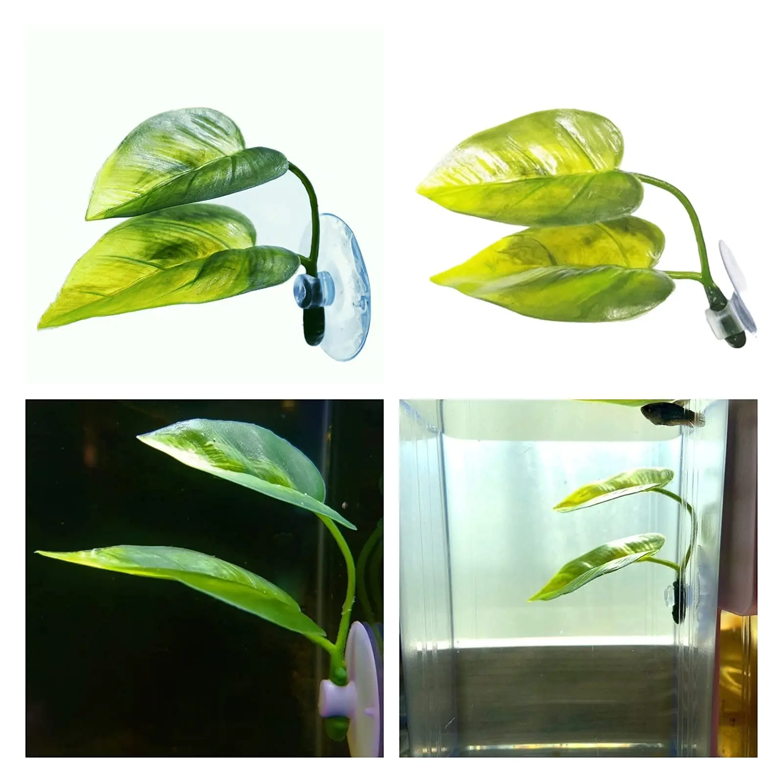 Huisdieren Aquarium Decor Bett - Aquarium Plant Roots recensie en prijs