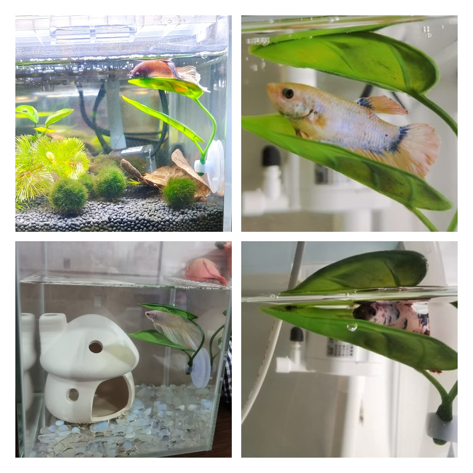 Huisdieren Aquarium Decor Bett - Aquarium Plant Roots recensie en prijs