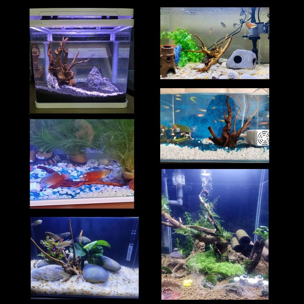 20-25CM Grote Aquarium Drijfho - Aquarium Plant Roots recensie en prijs