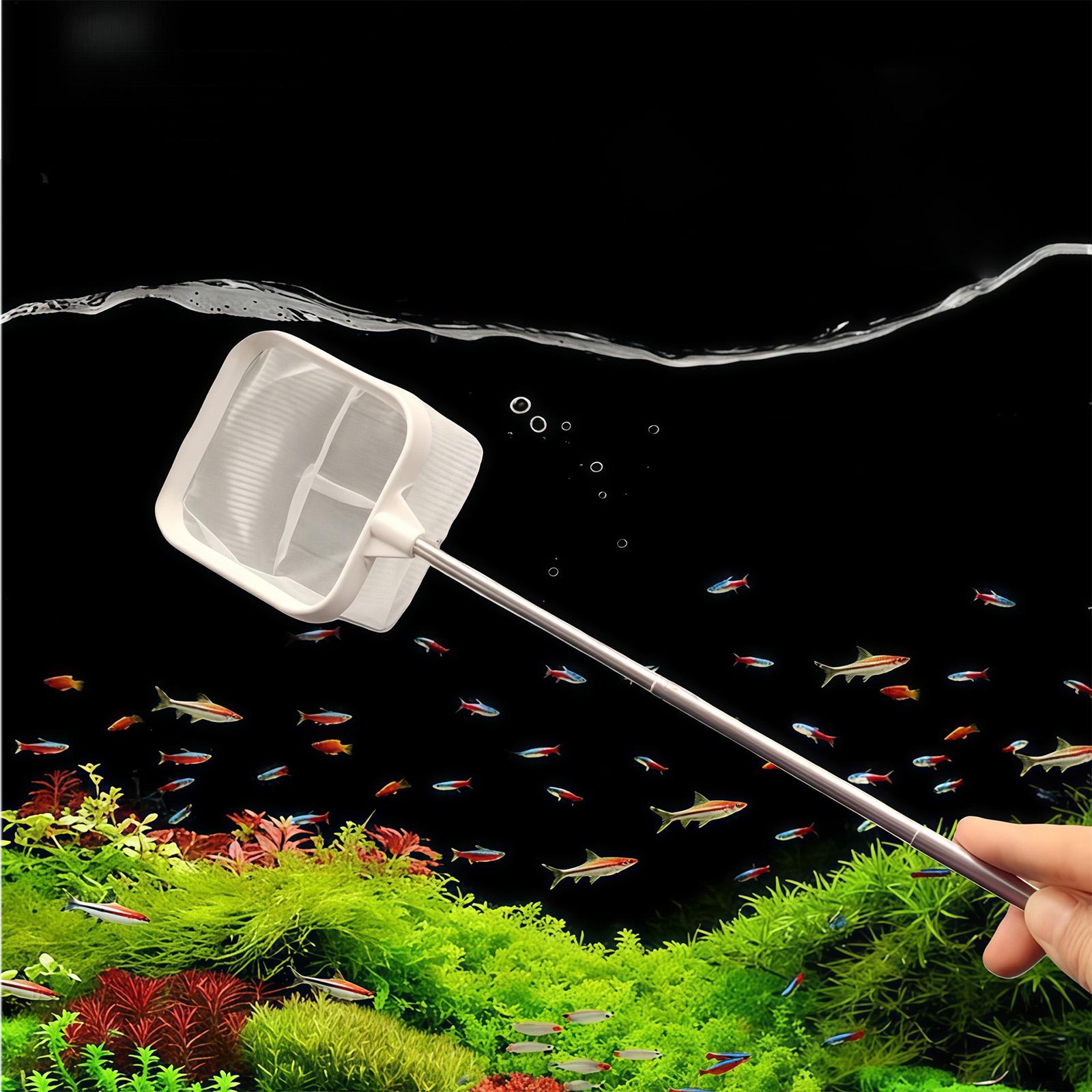 Uitschuifbare lange steel fijn - Aquarium Plant Roots recensie en prijs
