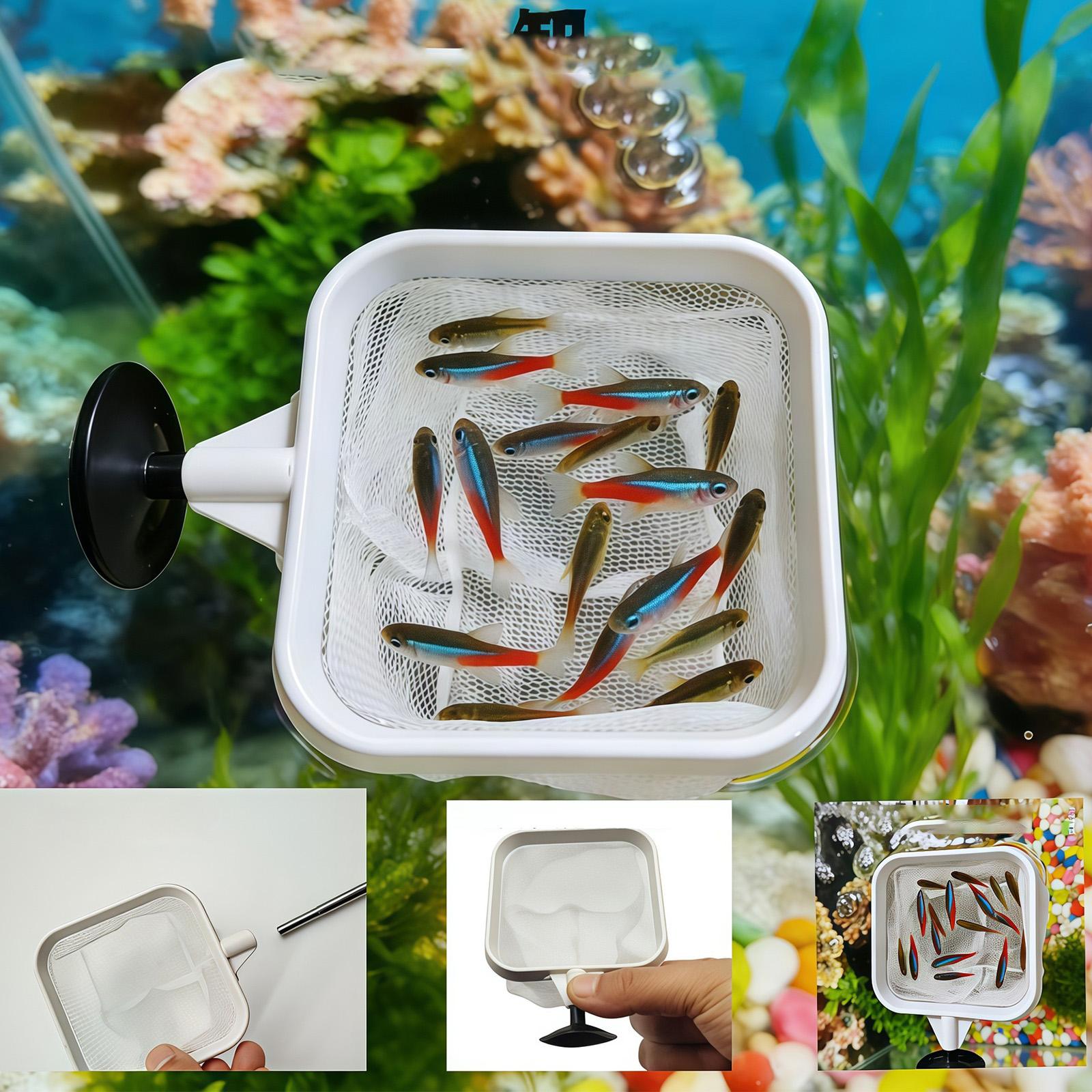Uitschuifbare lange steel fijn - Aquarium Plant Roots recensie en prijs