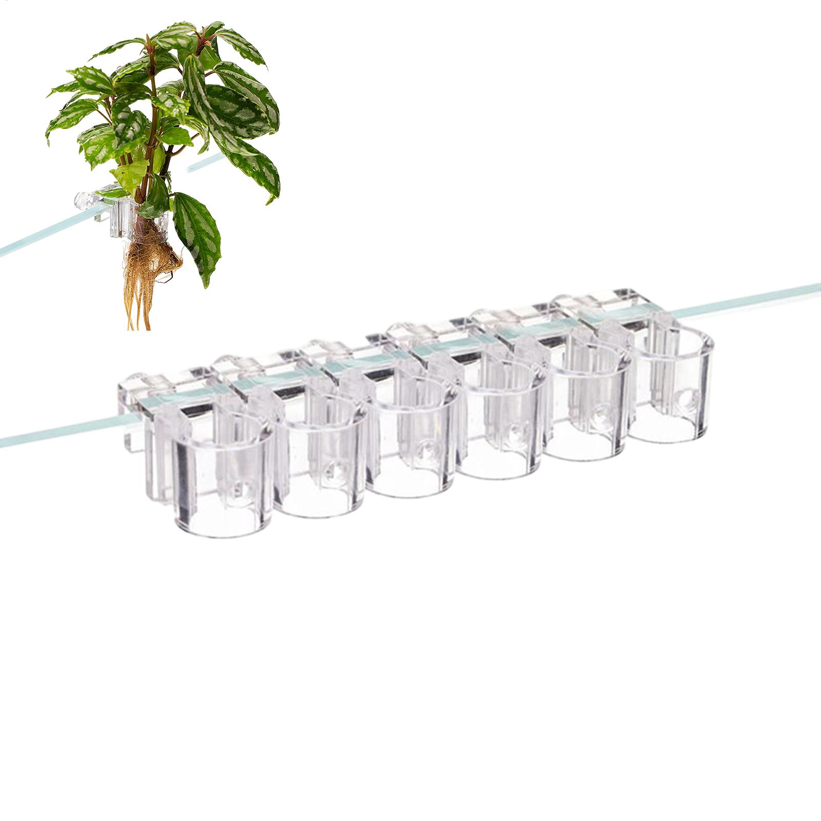 Mini Aquarium Plantenbak 6 Stu - Planted Aquarium Mini recensie en prijs