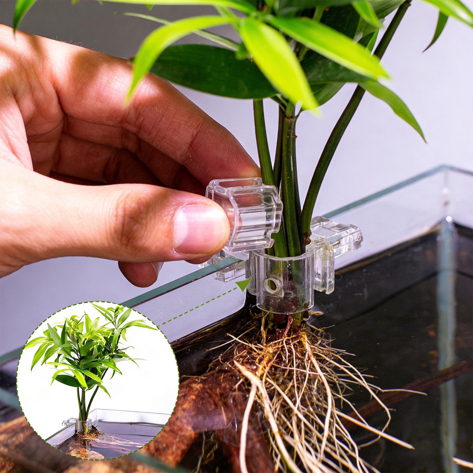 Mini Aquarium Plantenbak 6 Stu - Planted Aquarium Mini recensie en prijs