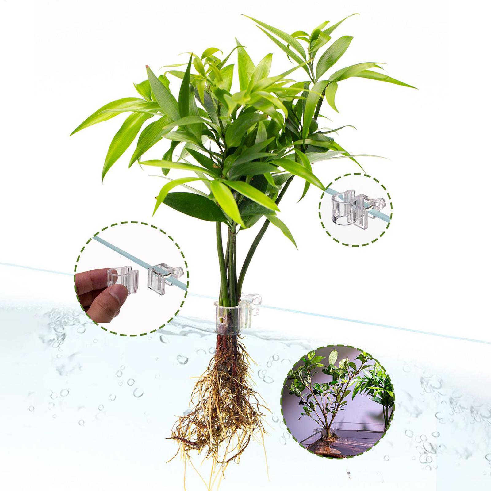Mini Aquarium Plantenbak 6 Stu - Planted Aquarium Mini recensie en prijs
