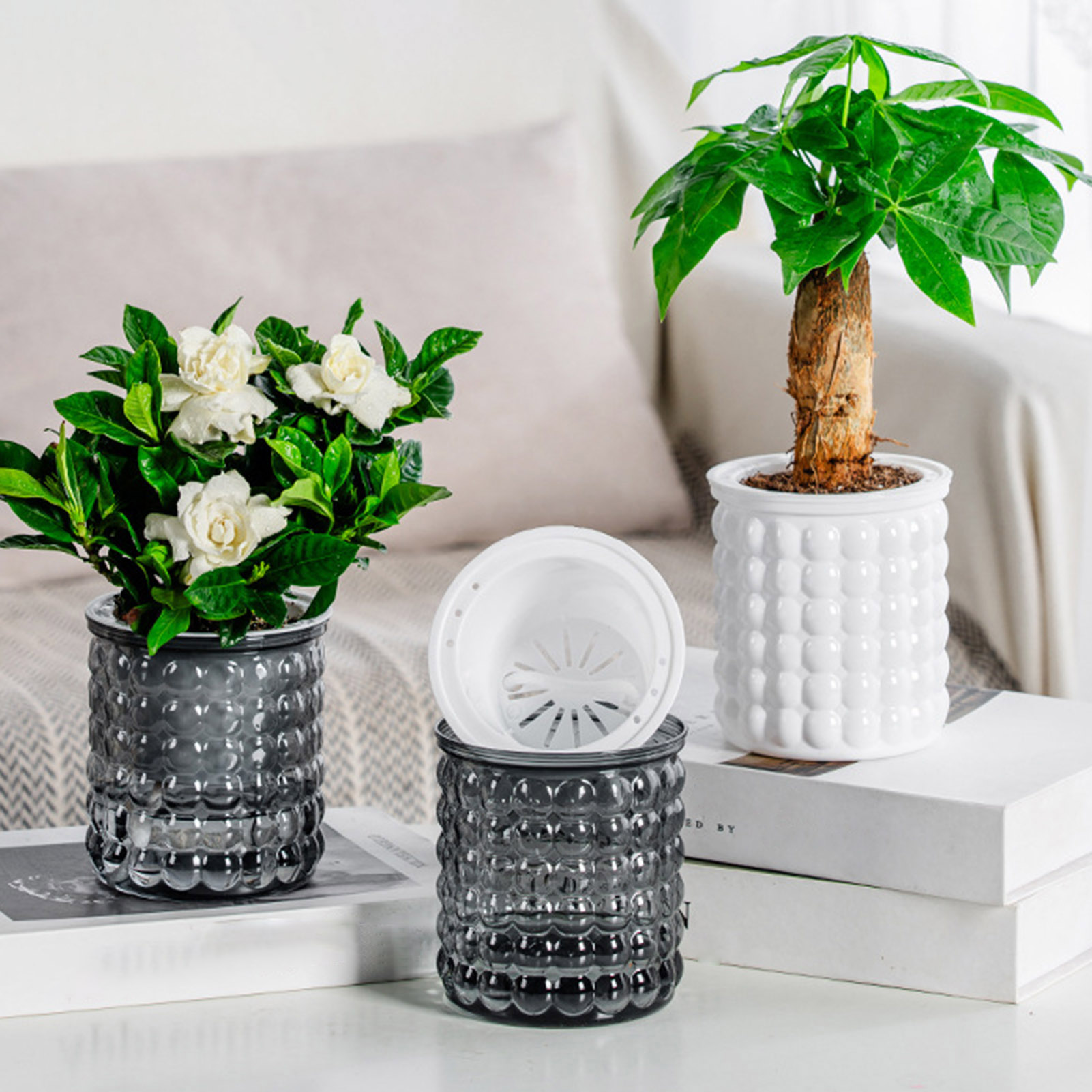 Nieuwe Zelf Watering Hydrocult - Tissue Culture Plant recensie en prijs