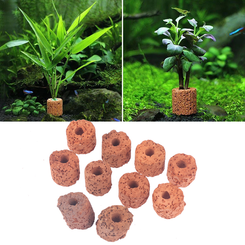 ^10 Stuks Plant Ring Aquarium  - Aquarium Plant Utensils recensie en prijs