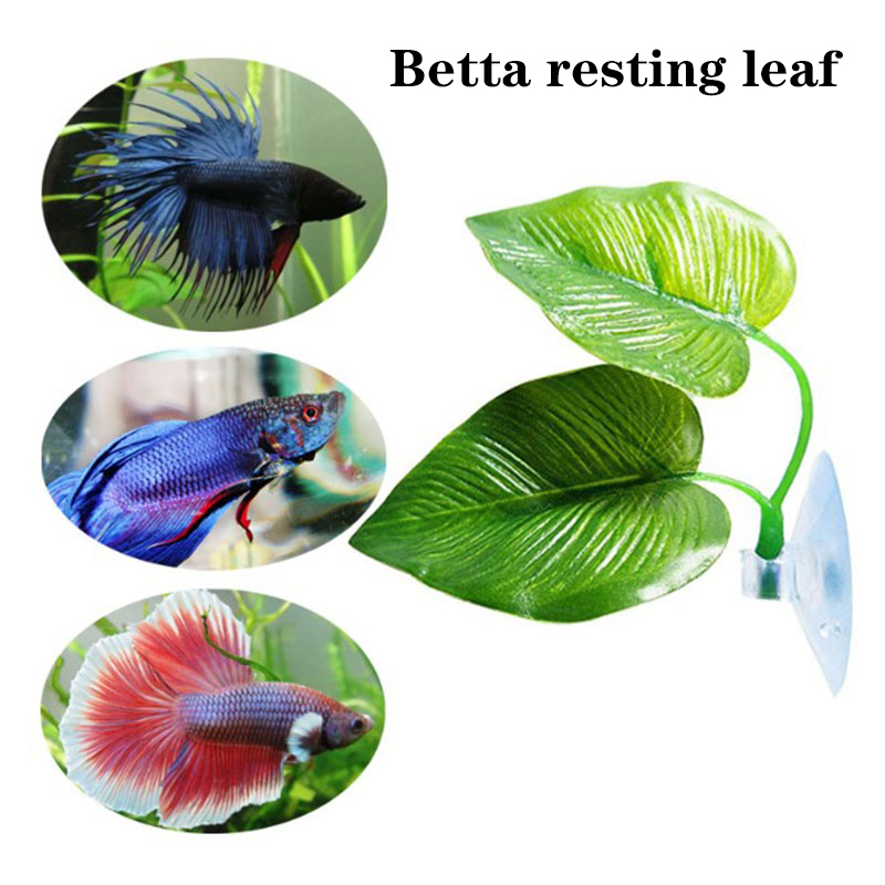 Betta Vis Rust Aquarium Bladpl - Planted Aquarium Betta recensie en prijs
